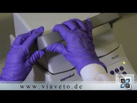 Innerhalb von 14 tagen habe die frau den. PCR-Test: Wissenschaft als Panikmacher? | Für die Freiheit ...