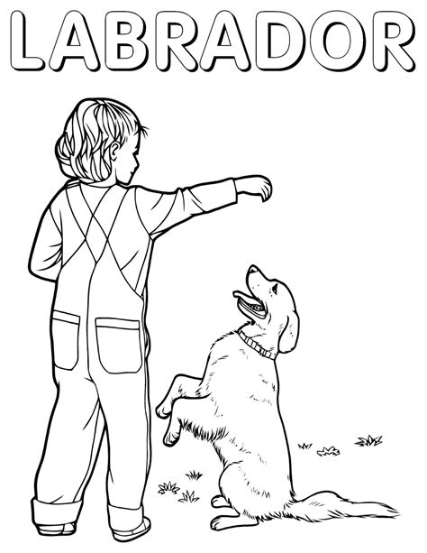 Some of the coloring pages shown here are labrador retriever coloring book for adults and children volu. Labrador coloring pages | Coloring pages to download and print