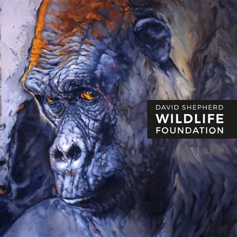 We did not find results for: Wildlife Artist Of The Year Competition 2020 | Wildlife artists, Wildlife art, Artist