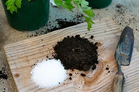 Epsom salt can help you calm down when you are feeling stressed. Epsom Salt For Tomatoes: Why Is Epsom Good For Tomato Plants?