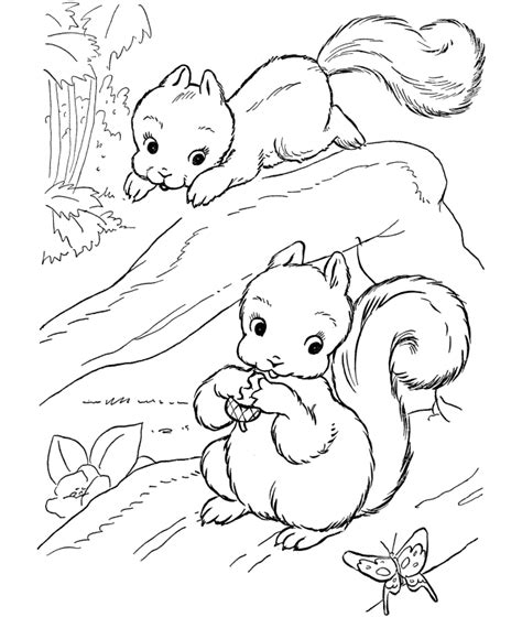 Free printable acorn coloring page has some popular tag for your convenience in top searching this reference link more howcoloringpages.com. Acorn Coloring Pages For Kids - Coloring Home