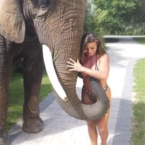 Check out the hottest photos posted by francia james on her official instragram profile. Playful elephant tries to rip off Playboy model's bikini ...