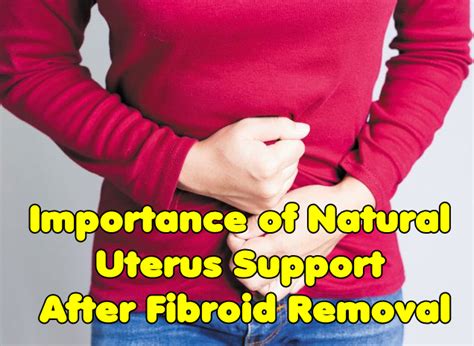 They act like a natural intrauterine. Importance of Natural Uterus Support After Fibroid Removal ...