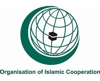 Cooperation is a form of business organisation the only system of voluntary organisation suitable for poorer people. مخفف OIC چیست