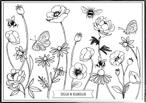 25 mrt 2019 bekijk het bord bloemen van konings meubelstoffeerderij dat wordt gevolgd door 235 personen op pinterest. Bloemenkrans Kleurplaat : Kleurplaat Bloemen Bij Het Graf ...