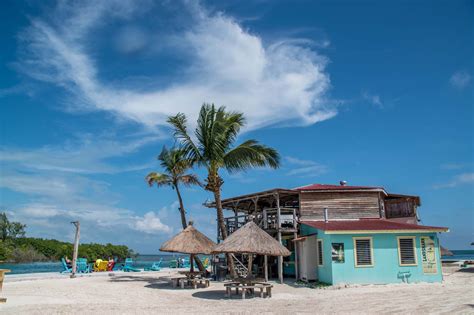 See salaries, compare reviews, easily apply, and get hired. Friday Flickr Find - The Lazy Lizard, Caye Caulker, Belize ...