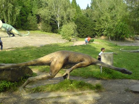 Warszawskie zoo jako jedyne w polsce posiada niedźwiedzie polarne. Chorzów ZOO - dinozaury - Garnek.pl