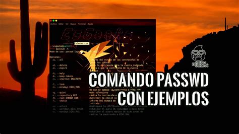 Cd sólo, va a tu home cd. Comando passwd en Linux con Ejemplos » EsGeeks