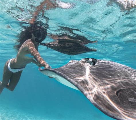 Carla underwater fighting underwater with my mom. This Real Life Mermaid Is Absolutely Gorgeous (25 pics)