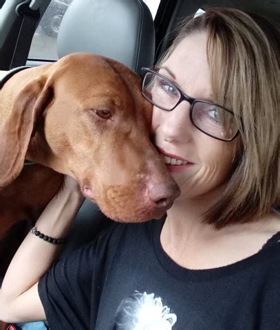 Well you're in luck, because here they come. Vizsla puppy dog for sale in FREMONT, Michigan