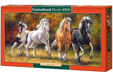 4000 piece puzzle, the world, executive map. Castorland 4000 Pièces Jigsaw Puzzle Paysages Villes | eBay