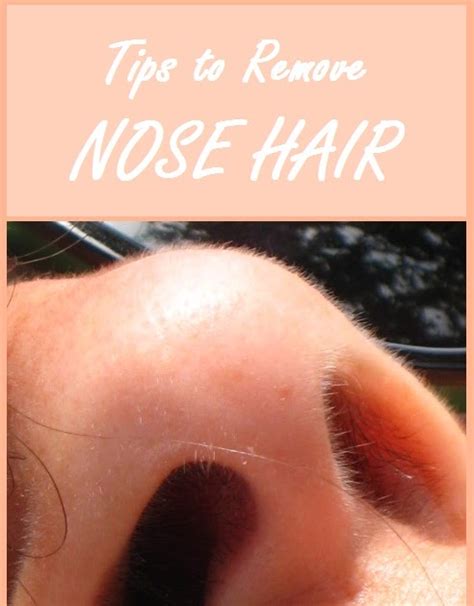 Wondering how to remove those annoying hairs in your nose that don't seem to cease to attract attention to your nose when talking to people? Tips to Remove Nose Hair | TOP BEAUTY ENHANCER