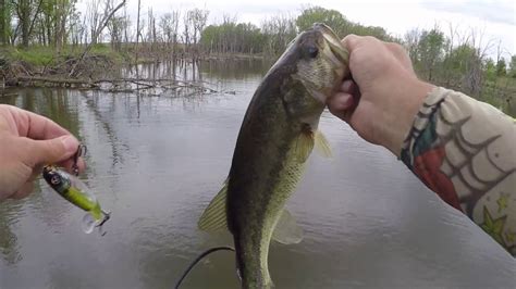 How to use whopper in a sentence. whopper Plopper best bass fishing topwater lure bait ...