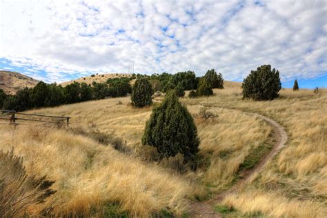 Ce que nos clients pensent des services de traduction anglais français que nous proposons au cabinet de traduction professionnel en ligne chez protranslate est de la plus haute importance. Pocatello's City Creek Management Area Trail System