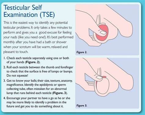 What do testicular cancer tumors feel like. A quick feel could save your life but only a third of men ...