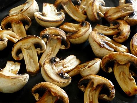 Cat meat is meat prepared from. Can Dogs Eat Cooked Mushrooms - Are Mushrooms Safe For Dogs