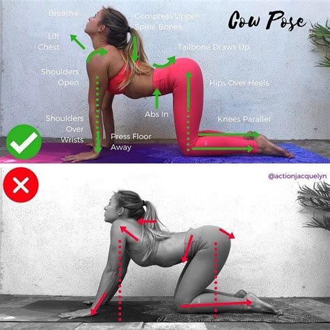 The perfect cat and camel pose exercise. 6,739 Likes, 79 Comments - Jacquelyn Umof, Yoga ...