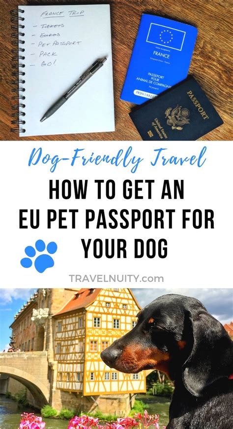 You can pay for a faster service if you need a passport within the next 3 weeks. How to Get an EU Pet Passport for Your Dog - Travelnuity ...