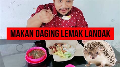 Kota bharu, pengkalan chepa, malaysia. Daging Bakar Lemak Landak. Sedap, Kenyal & Padu. Hanya di ...