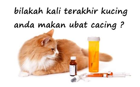 Lafal berikut ini dibaca rasulullah saw ketika menjenguk seorang. Keperluan memberi ubat cacing kepada kucing anda ...