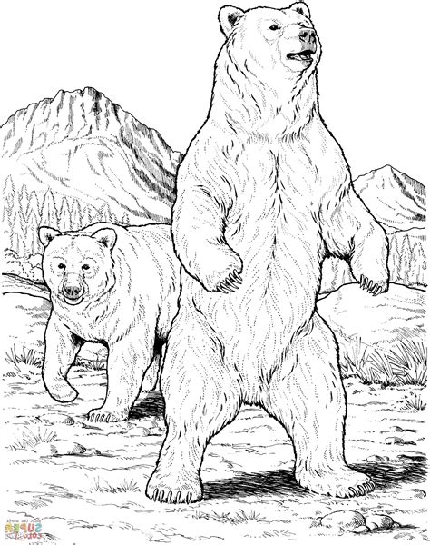 There are three main species of bears, the brown bear, the… Alaskan Brown Bears | Bear sketch, Bear coloring pages ...