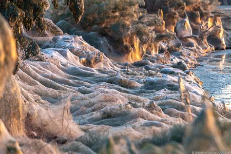 Bolam, wrf and mm5, for europe and greece. The Aitoliko Spiderweb, Greece (Photography) - Alexandros ...