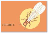 Services termites pests moisture control our plans bed bugs (fee may apply for canine). Termite Control Greenville, NC | Quality Termite and Pest ...