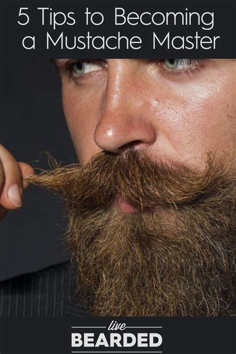 If you are consistent in grooming, it automatically trains your beard to grow in the direction you want. Master Your Mustache With These 5 Tips | Man Beard | Beard ...