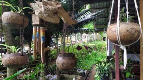 Suami Istri di Manado Buat Ide Kreatif Pot Bunga Unik dari ...