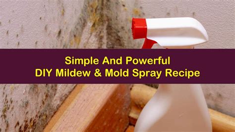 Need to test for mold in your home but not sure where to start? Simple And Powerful DIY Mildew and Mold Spray Recipe