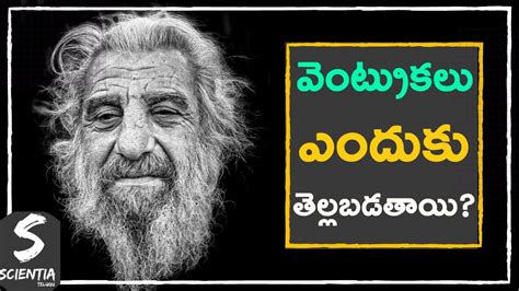 Each strand of hair is made by a part of the skin called a hair follicle. Why Do We Get White /Grey Hair ? | Scientia Telugu | - YouTube