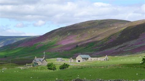 Scotland has three major land regions: Lowlands, scotland, august 2013 at Photography by rcm