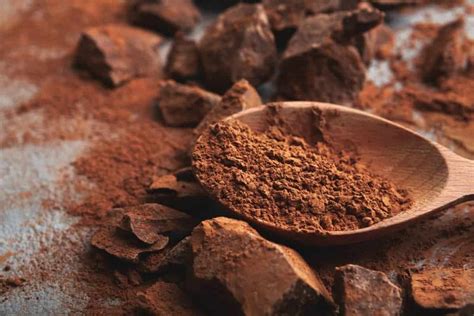 Confira o calendário de eventos de gramado em 2021. As 10 Melhores Fábricas de Chocolate em Gramado em 2021
