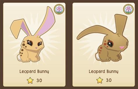 Unless you are ready to breed hybrids, be sure that the dragons you're breeding are actually the base type dragons that will create the proper match for the hybrid you want to create. Leopard Bunny