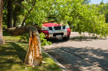 Check spelling or type a new query. Does homeowners insurance cover tree removal? (GUIDE)