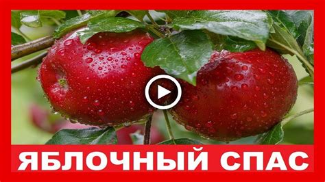 Светлый праздник дает нам возможность подарить тёплые поздравления нашим родным и близким, а будут это красивые стихи или проза — выбор за. Поздравление с Яблочным спасом! - YouTube