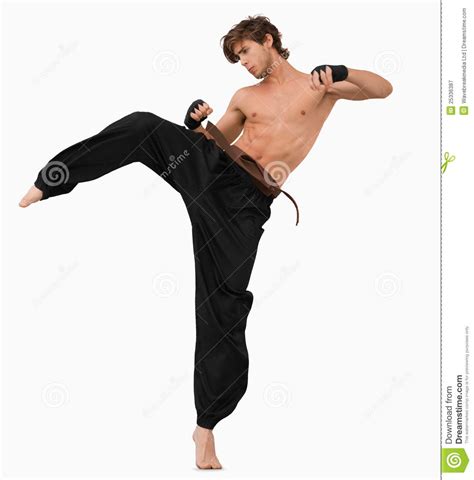 The need to fight and defend yourself. Side View Of Kicking Martial Arts Fighter Stock Image ...