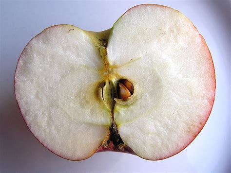 How To Avoid GMO Apples