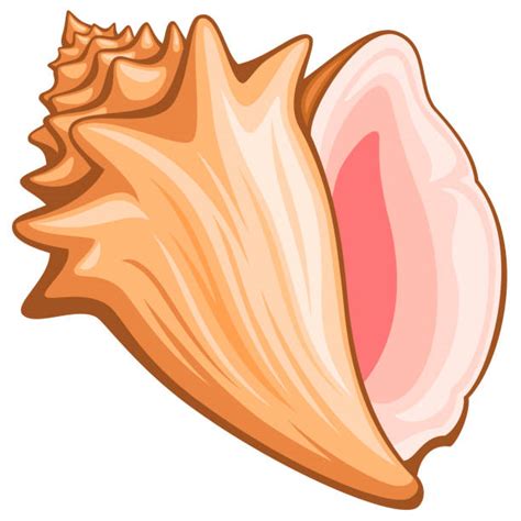 We did not find results for: Conch Shell Illustrations, Royalty-Free Vector Graphics ...