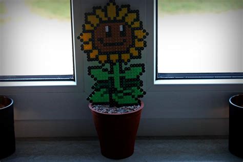 Maybe you would like to learn more about one of these? Plants Vs. Zombies Sonnenblume aus Bügelperlen ...