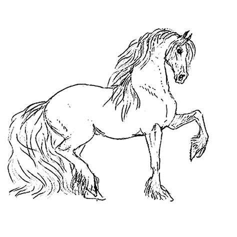 1024 x 962 jpg pixel. Leuk voor kids kleurplaat | Horse coloring pages, Horse ...