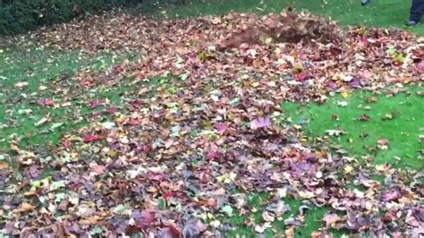 We did not find results for: Leaf Blowing Action With Kawasaki Backpack Blower - YouTube