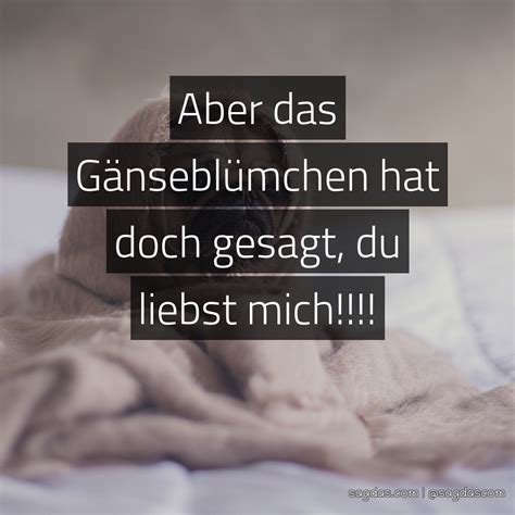 Meine schulbildung war kostenlos, deine. Spruch: Aber das Gänseblümchen hat doch gesagt, du ...