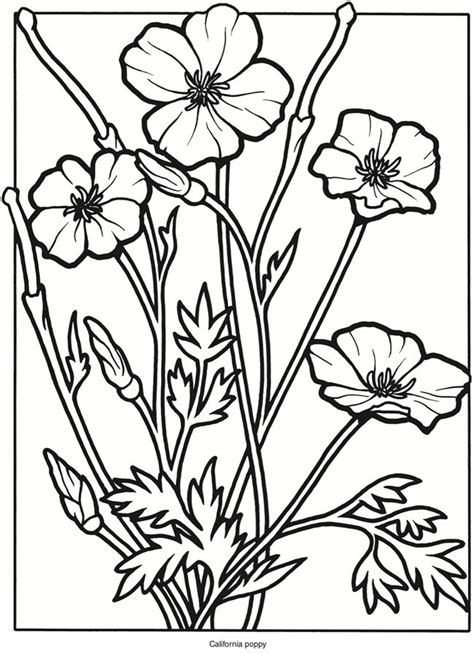 Drawings of flowers to color. Wild Flowers Coloring Pages - Coloring Home