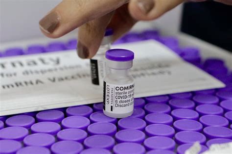 O surgimento de inúmeros novos medicamentos para tratar as doenças reumatológicas, inflamatórias intestinais, neoplasias e a aids, possibilitou o prolongamento da vida. Pernambuco recebe nova remessa da vacina da Pfizer contra ...