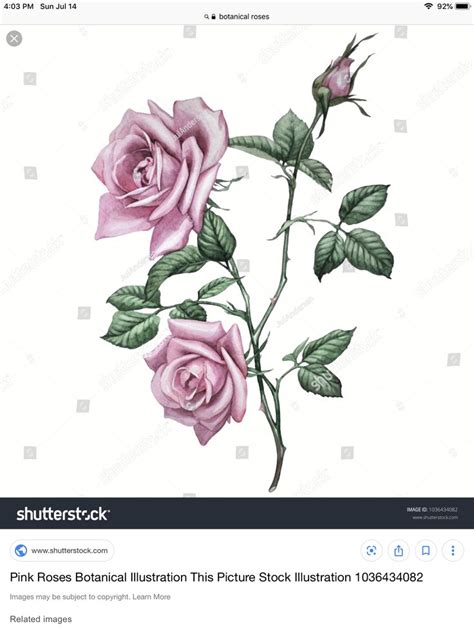 You can also find some of our funeral notices on facebook. Pin by Carol Topp CPA on Drawing and painting flowers ...