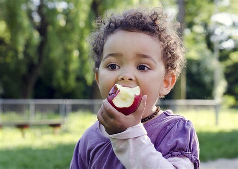 Listed below, are the main food banks in the los angeles area. LA Regional Food Bank Diaper Program - Los Angeles ...