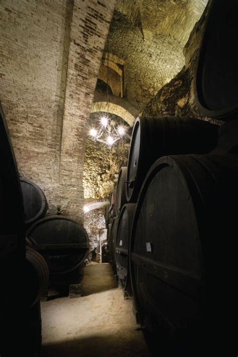 We did not find results for: Cantina de' Ricci, "The Most Beautiful Wine Cellar in the ...