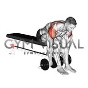 Extend your arms out to the side and guide the weight up. Dumbbell Seated Bent Over Rear Delt Row