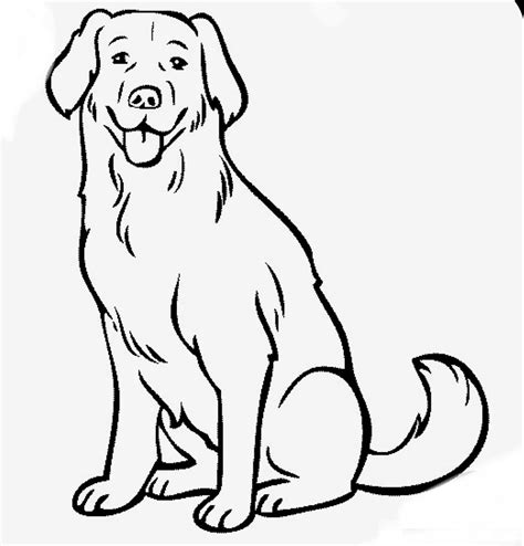 Find high quality golden retriever coloring page, all coloring page images can be downloaded for free for personal use only. Pin by Kim Lauderdale on Bullet Journaling-Shot Thru The ...